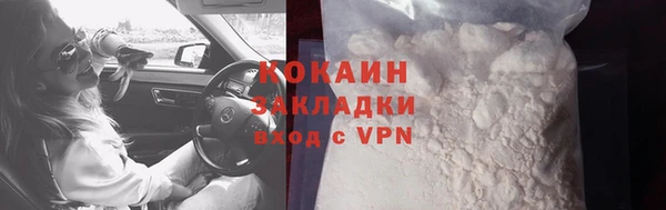 гашик Дмитровск