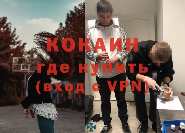 гашик Дмитровск