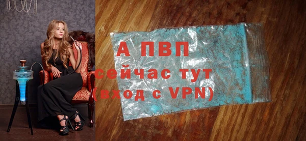 гашик Дмитровск