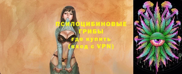 скорость Дмитриев