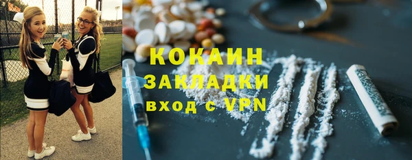 гашик Дмитровск