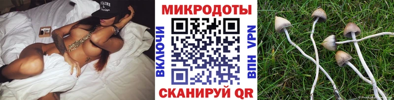 Галлюциногенные грибы GOLDEN TEACHER Архангельск